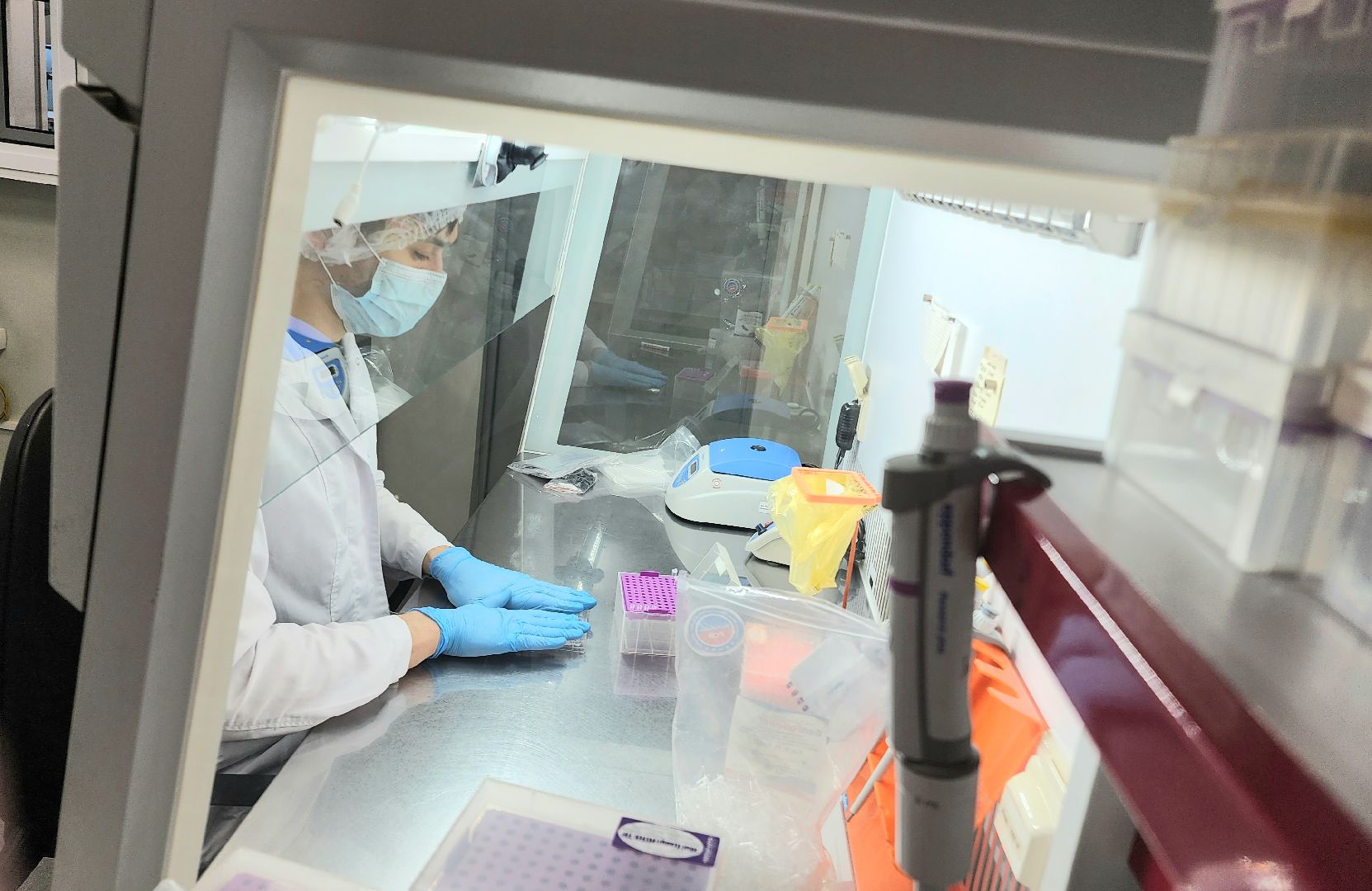 мираторг, агропромышленный холдинг, центр геномной селекции, Молочное производство, импортозамещение, Домодедово, экономика, исследования, племенное хозяйство, товарное хозяйство, подмосковье,