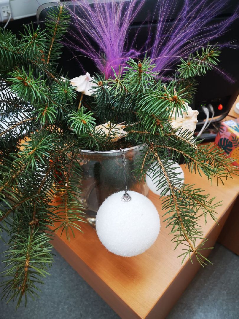 яркий новогодний бизнес, общественная палата, Домодедово,