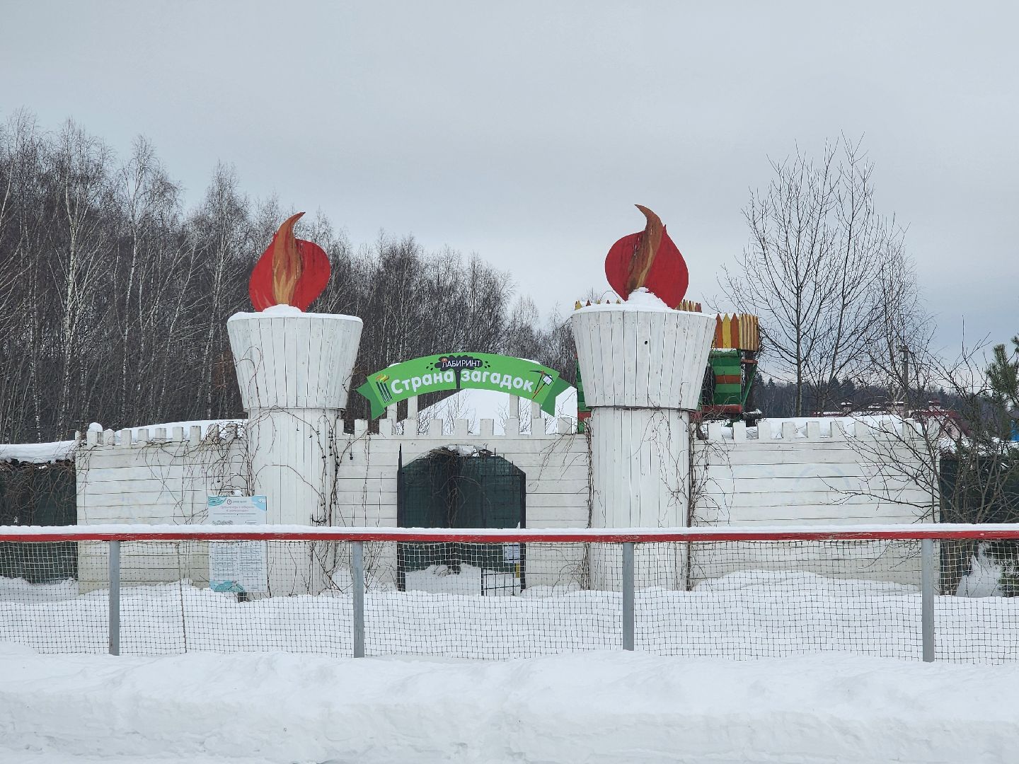 подмосковье, чехов, дикие белки, дети, агротуризм,