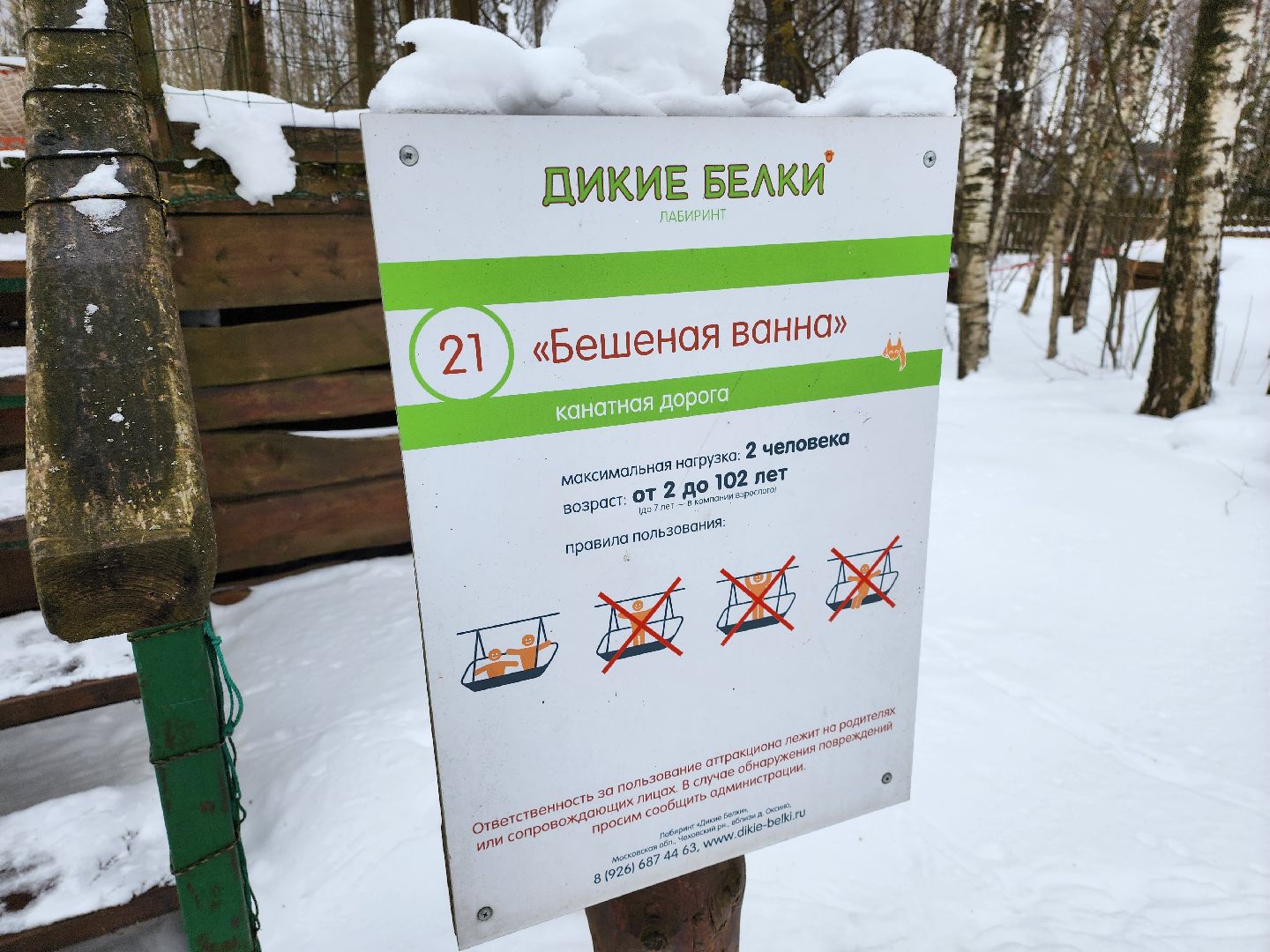 подмосковье, чехов, дикие белки, дети, агротуризм,