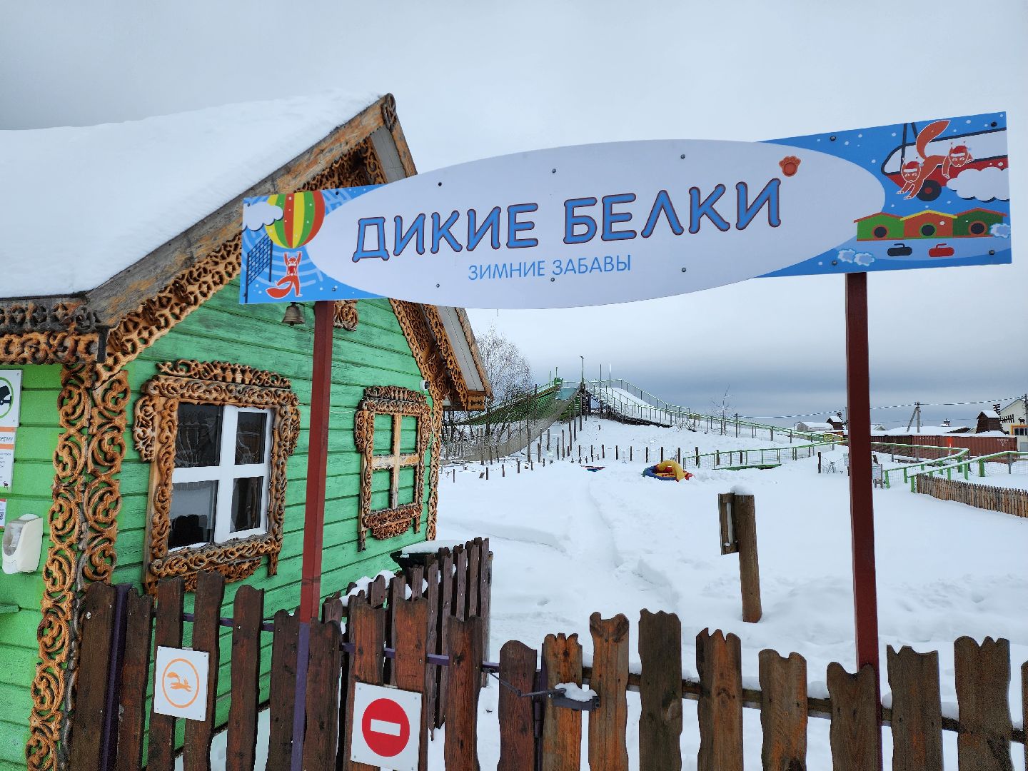 подмосковье, чехов, дикие белки, дети, агротуризм,