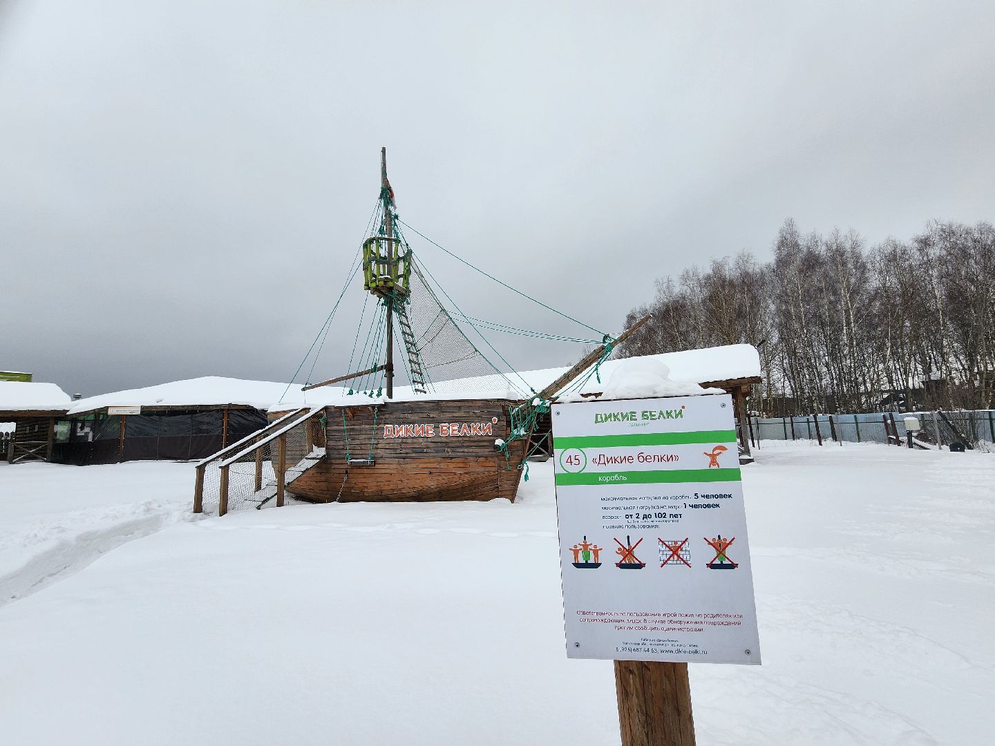 подмосковье, чехов, дикие белки, дети, агротуризм,