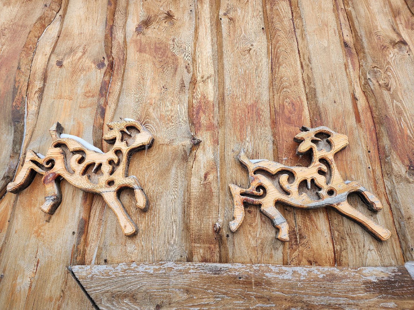 подмосковье, чехов, дикие белки, дети, агротуризм,