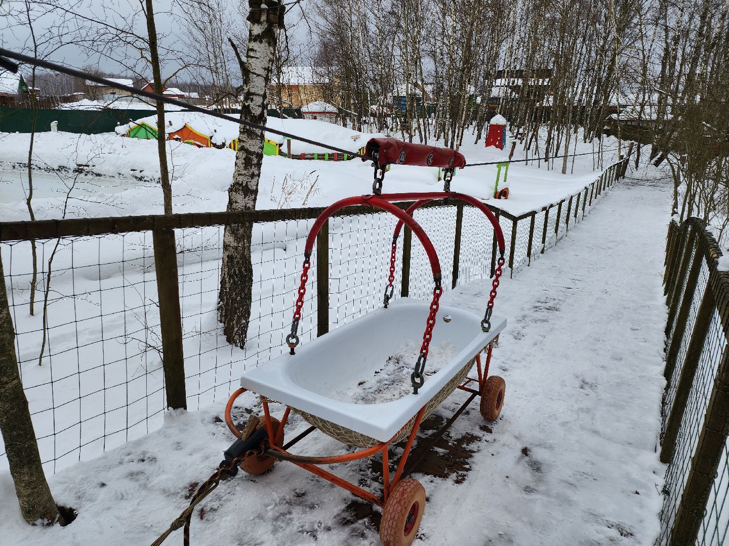 подмосковье, чехов, дикие белки, дети, агротуризм,