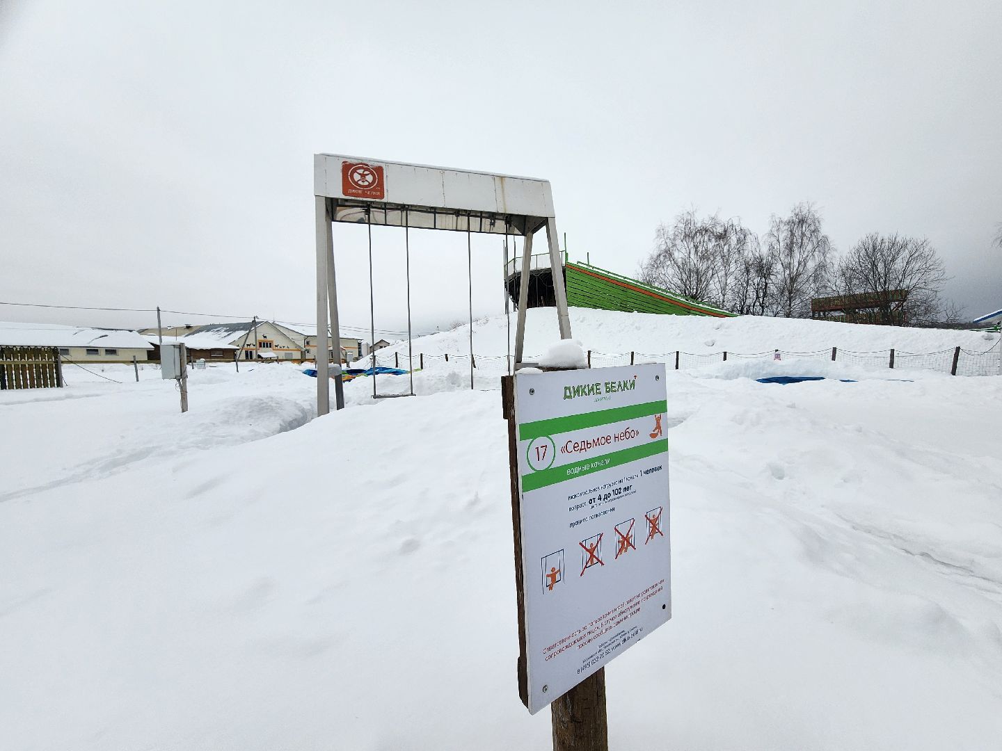 подмосковье, чехов, дикие белки, дети, агротуризм,