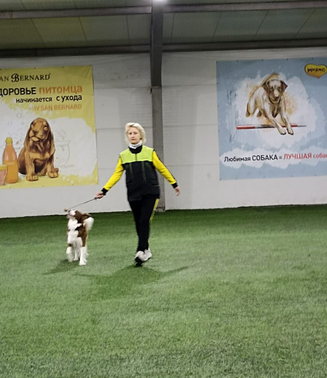 танцы с собаками, собаки, животные, Раменское