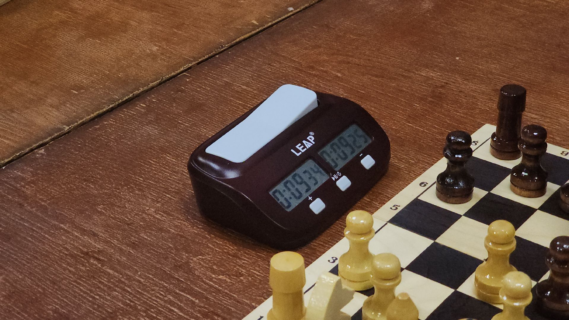 Павловский Посад, Городской округ Павловский Посад, Шахматы, Ход королевы, Люди, Дети, Образование,