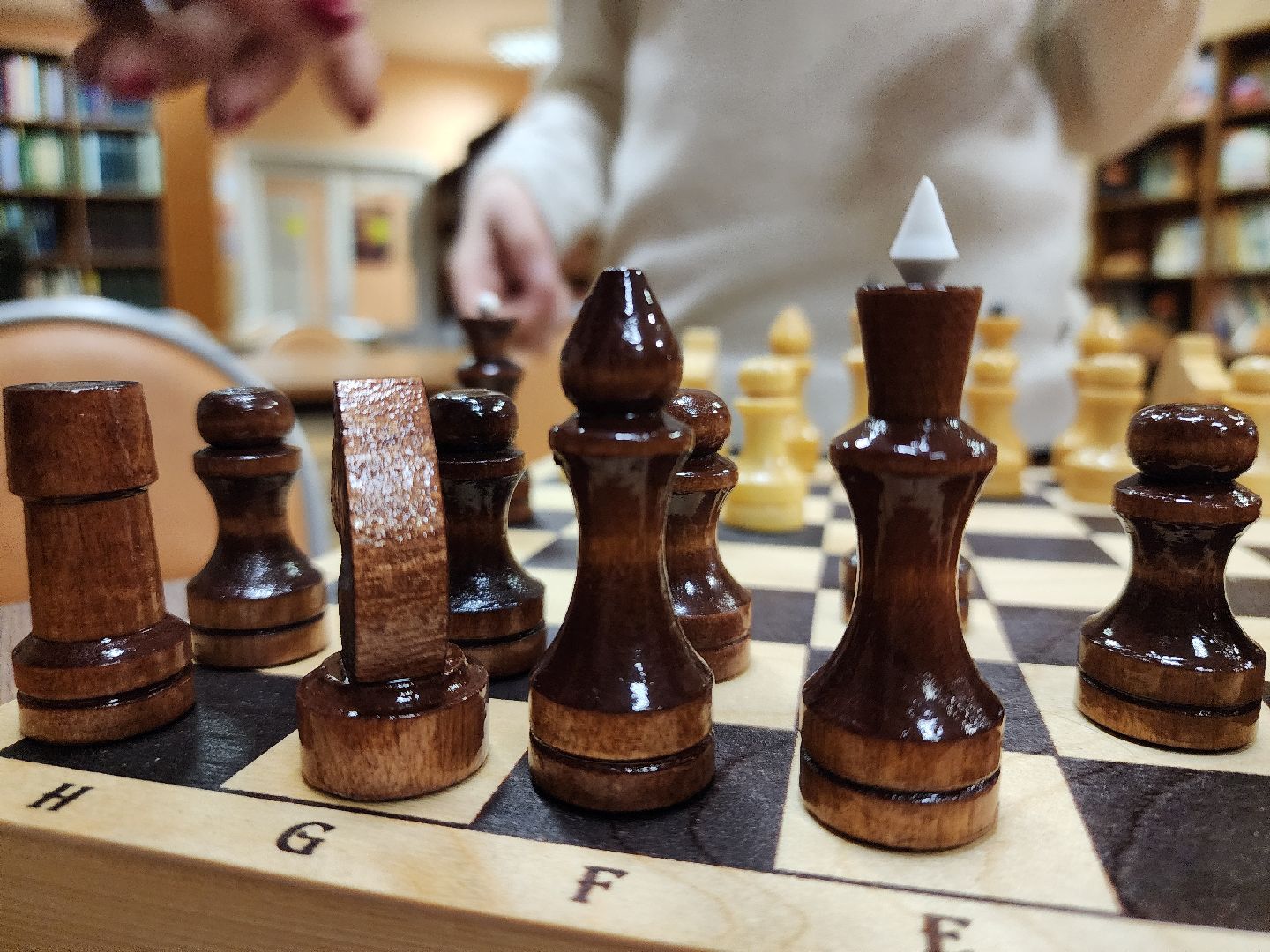 Павловский Посад, Городской округ Павловский Посад, Шахматы, Ход королевы, Люди, Дети, Образование,