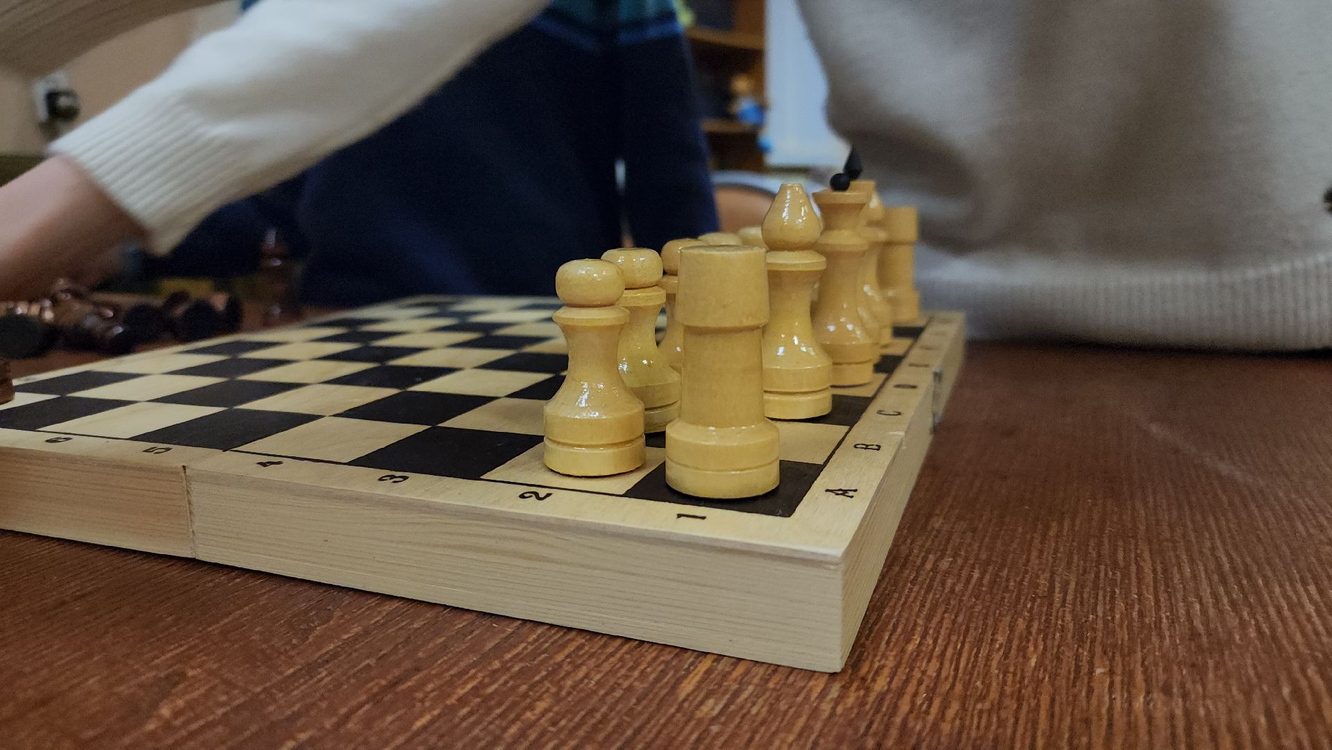 Павловский Посад, Городской округ Павловский Посад, Шахматы, Ход королевы, Люди, Дети, Образование,