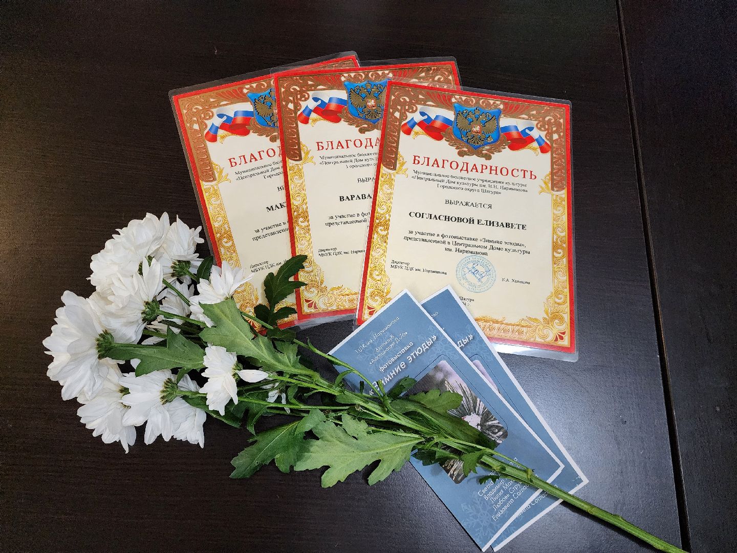 шатура, фотовыставка, зимние этюды, городской округ культура, культура подмосковья, нариманова,