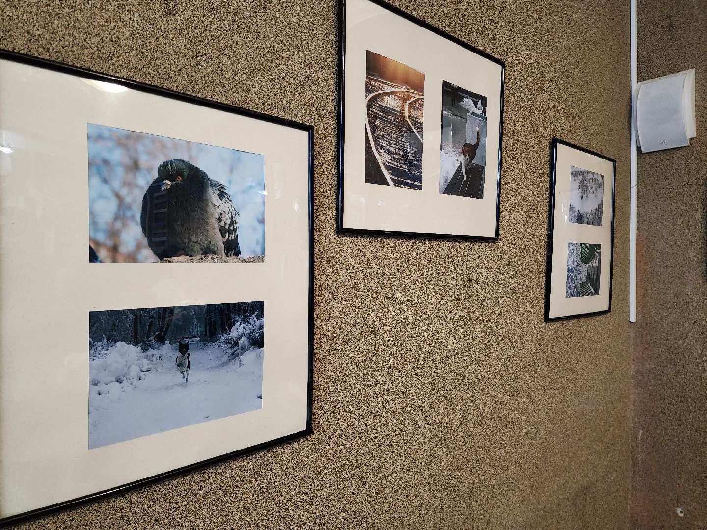 шатура, фотовыставка, зимние этюды, городской округ культура, культура подмосковья, нариманова,