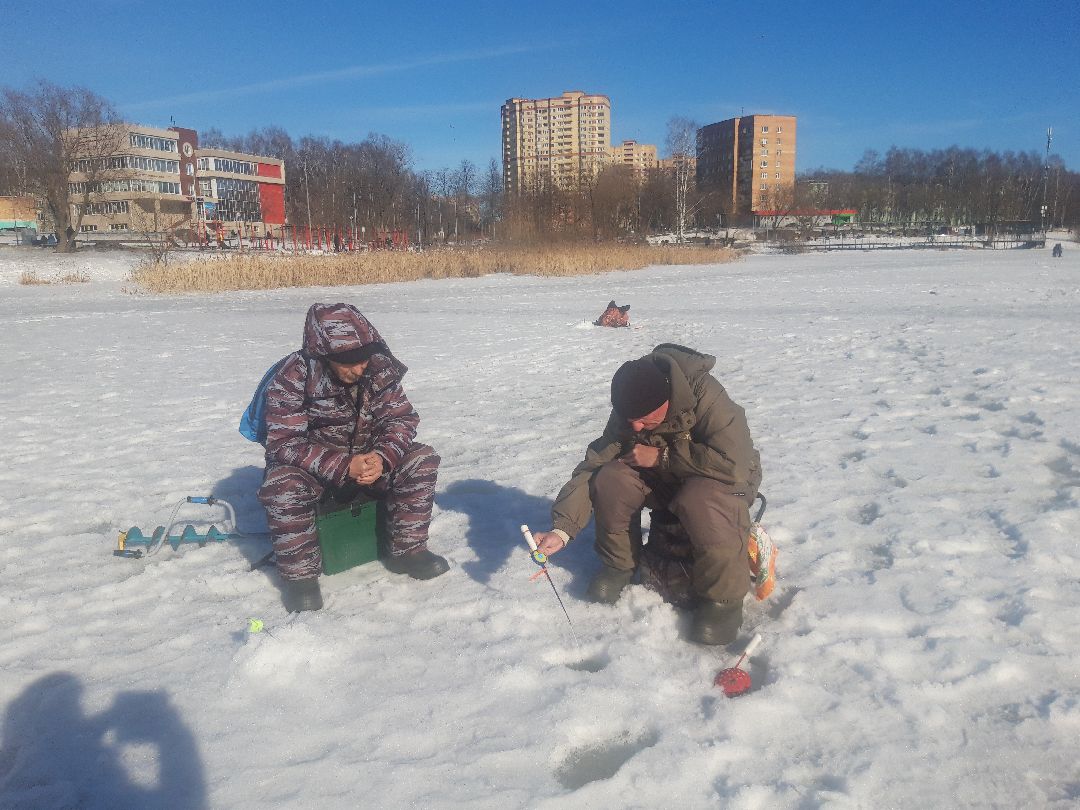 пенсионеры, выходные в подмосковье,