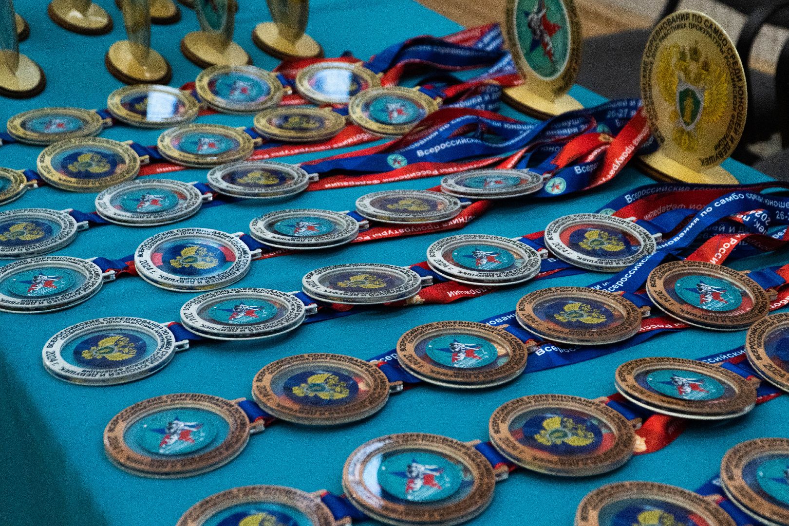 За самбо, самбо в школу, прокуратуре 100 лет, Домодедовская прокуратура,