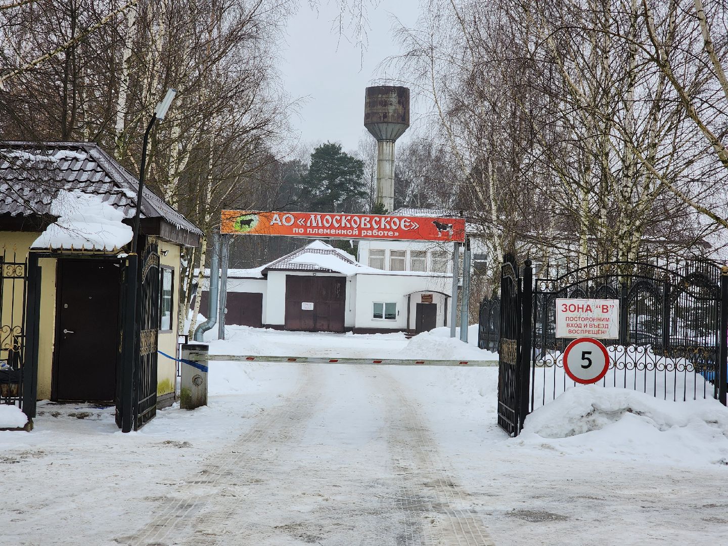 сельское хозяйство, племенные быки, предприятие, Ногинск, Богородский городской округ,