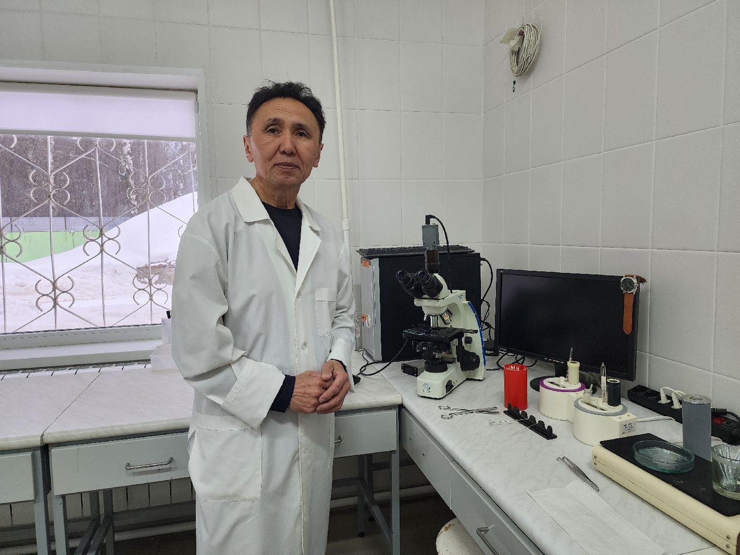 сельское хозяйство, племенные быки, предприятие, Ногинск, Богородский городской округ,