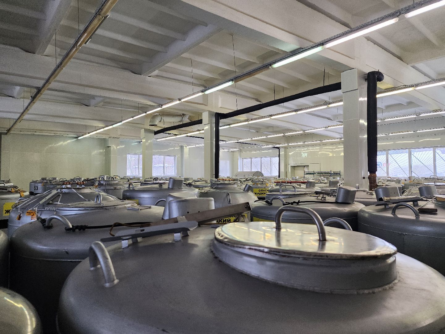 сельское хозяйство, племенные быки, предприятие, Ногинск, Богородский городской округ,