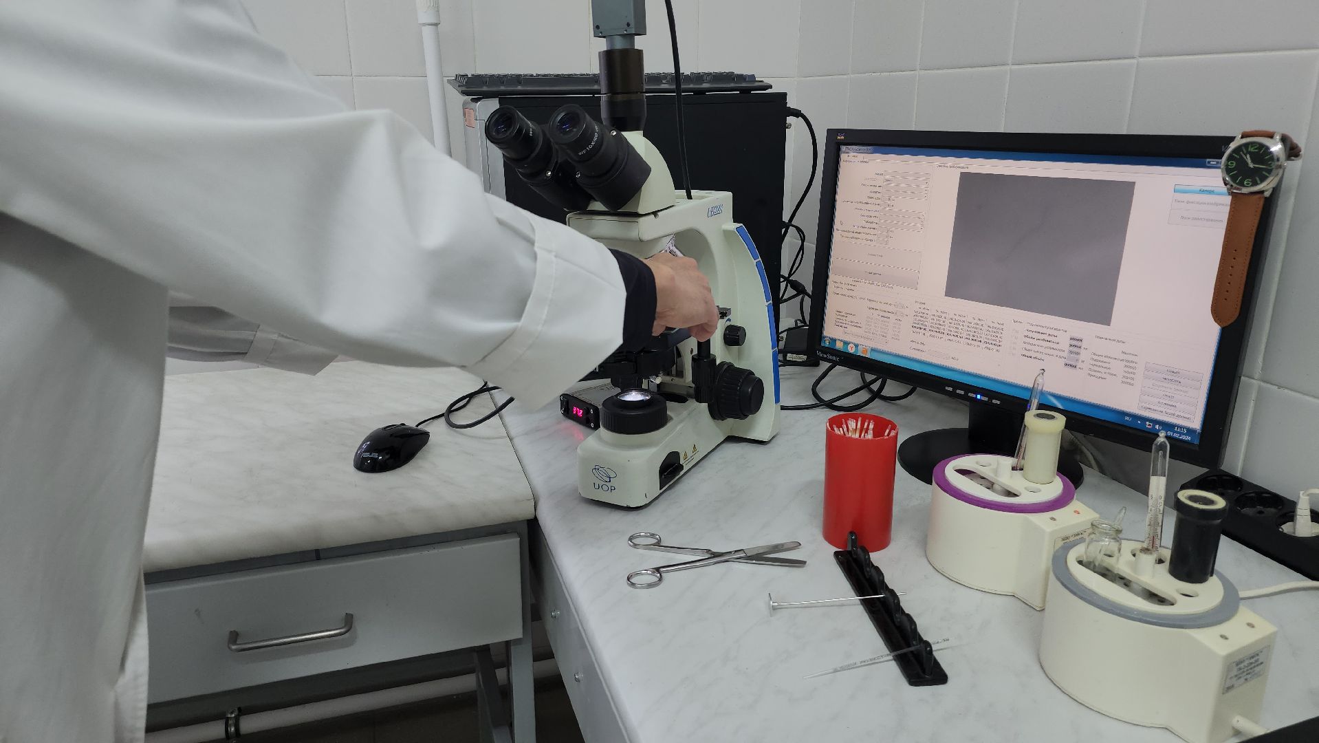 сельское хозяйство, племенные быки, предприятие, Ногинск, Богородский городской округ,