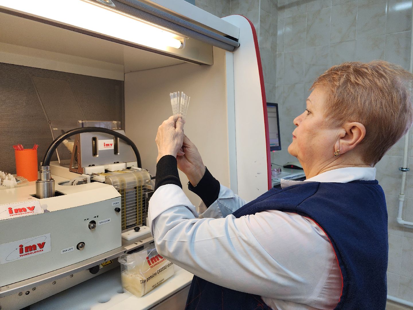 сельское хозяйство, племенные быки, предприятие, Ногинск, Богородский городской округ,