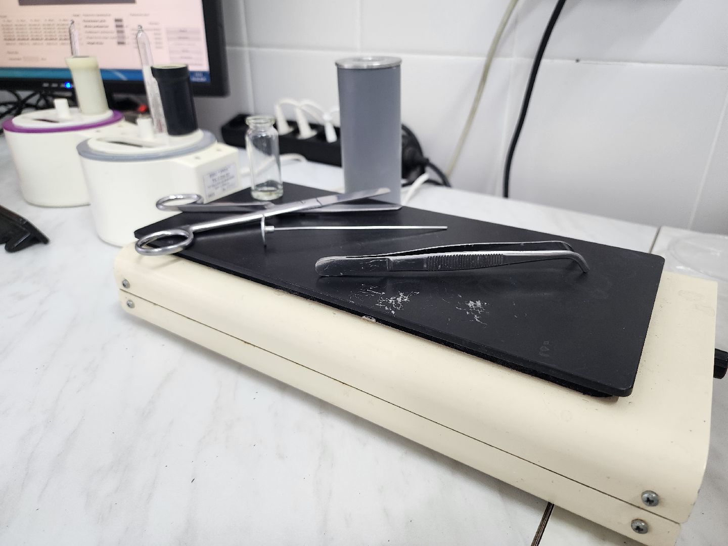 сельское хозяйство, племенные быки, предприятие, Ногинск, Богородский городской округ,