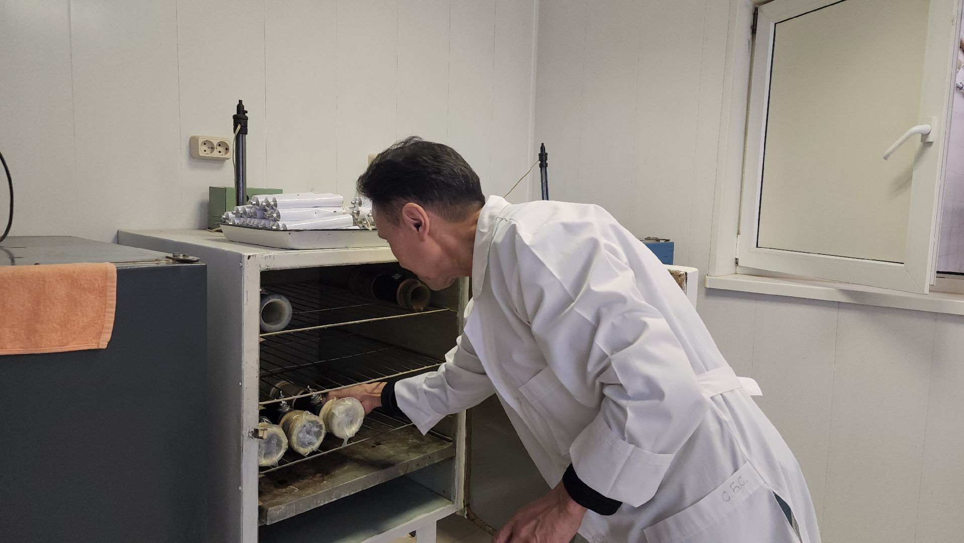 сельское хозяйство, племенные быки, предприятие, Ногинск, Богородский городской округ,