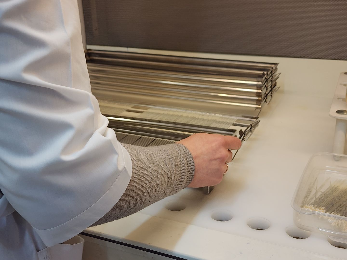 сельское хозяйство, племенные быки, предприятие, Ногинск, Богородский городской округ,