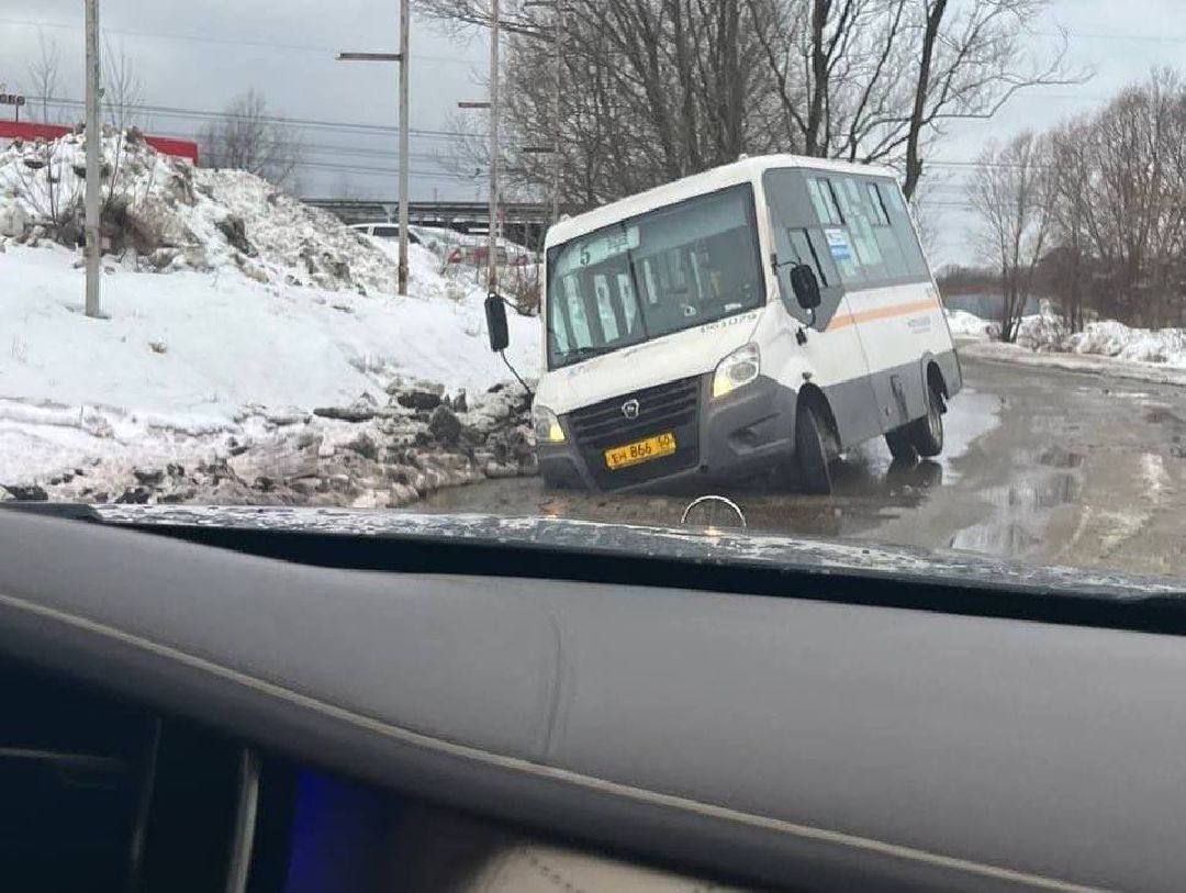 Одинцово, общество