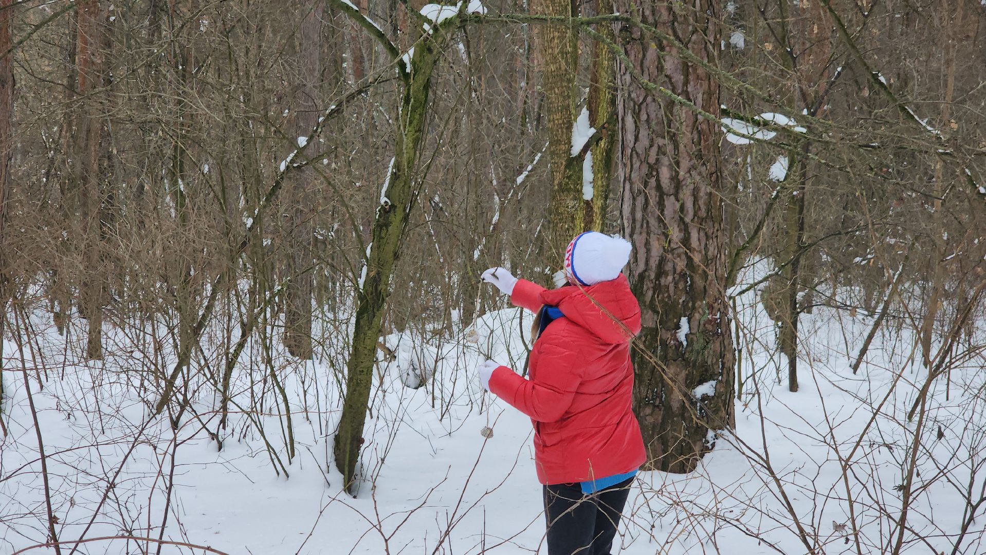 покорми птиц зимой, акция, экология, серпухов, молодежные активисты,
