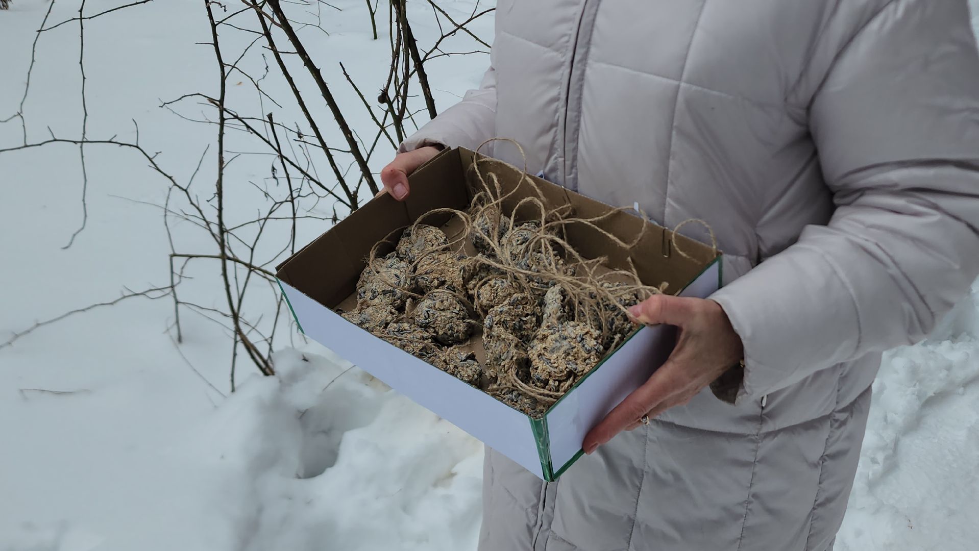 покорми птиц зимой, акция, экология, серпухов, молодежные активисты,
