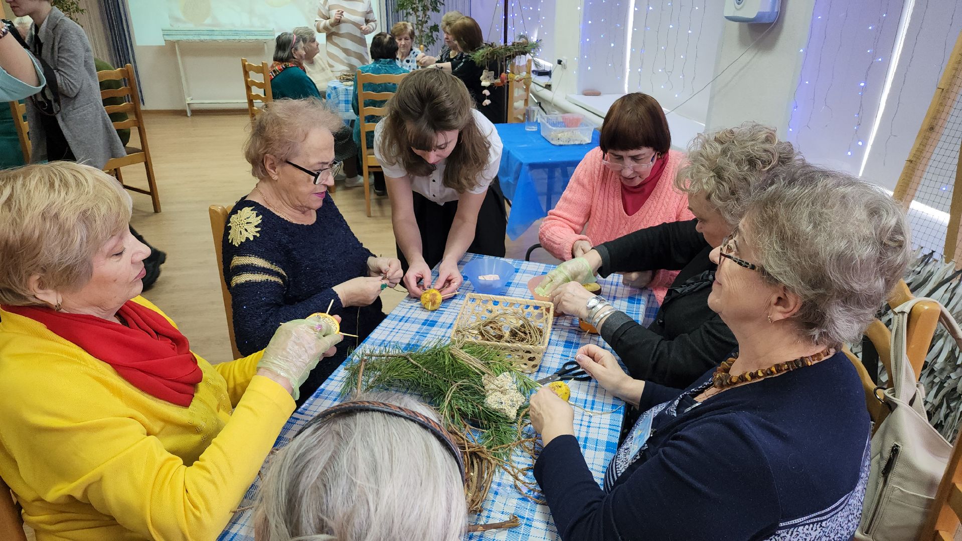 серпухов, экокормушка, птицы, пенсионеры, социальный центр,