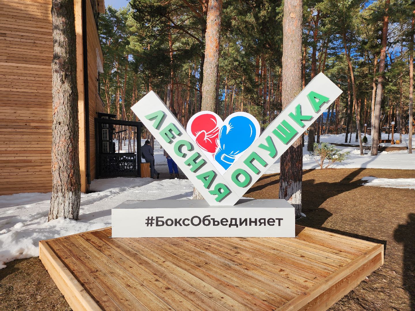 Серпухов, Подмосковье, Поветкин, федерация бокса россии,