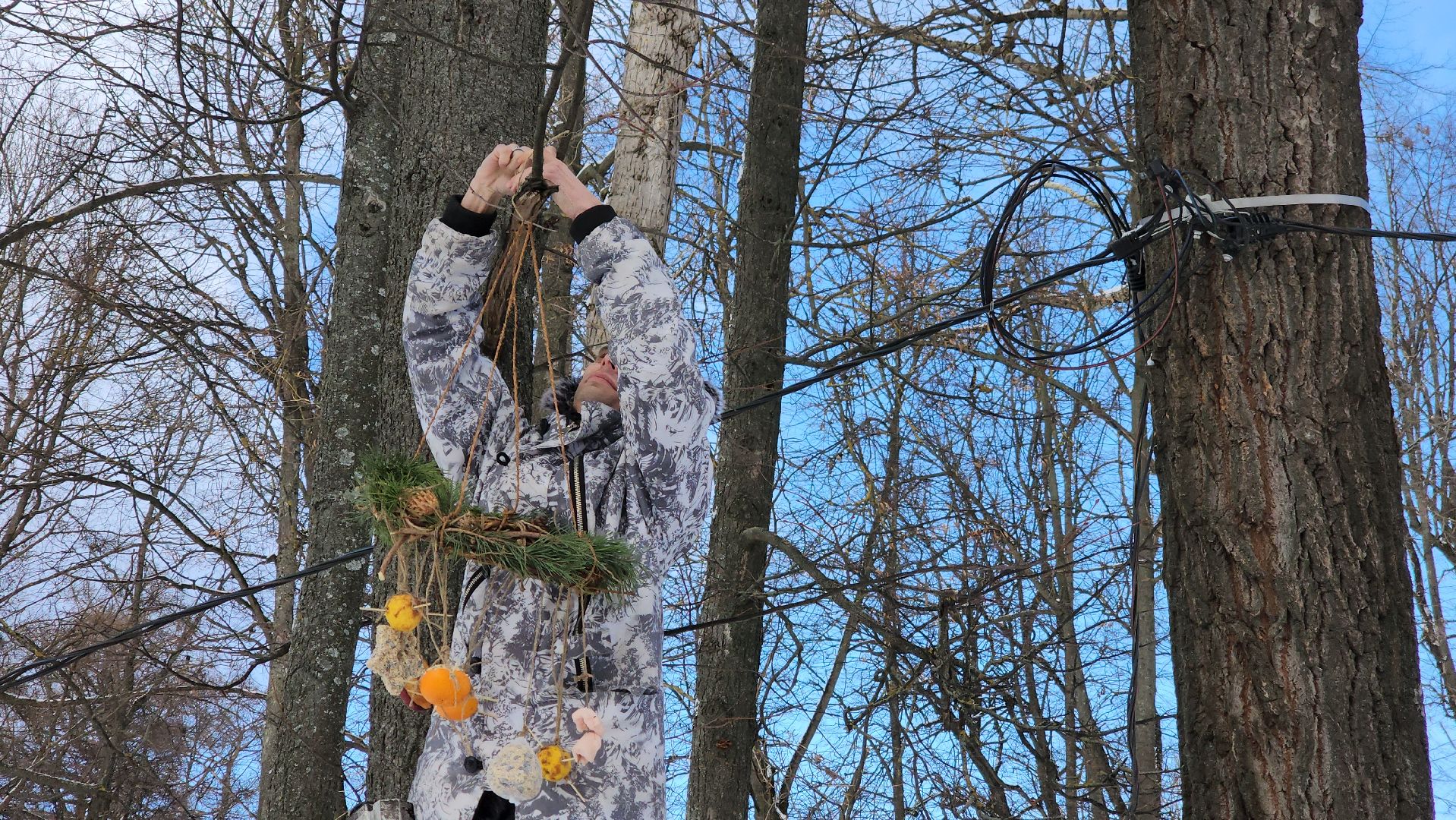 серпухов, парк имени олега степанова, центр серпуховский, кормушка для птиц, пенсионеры,