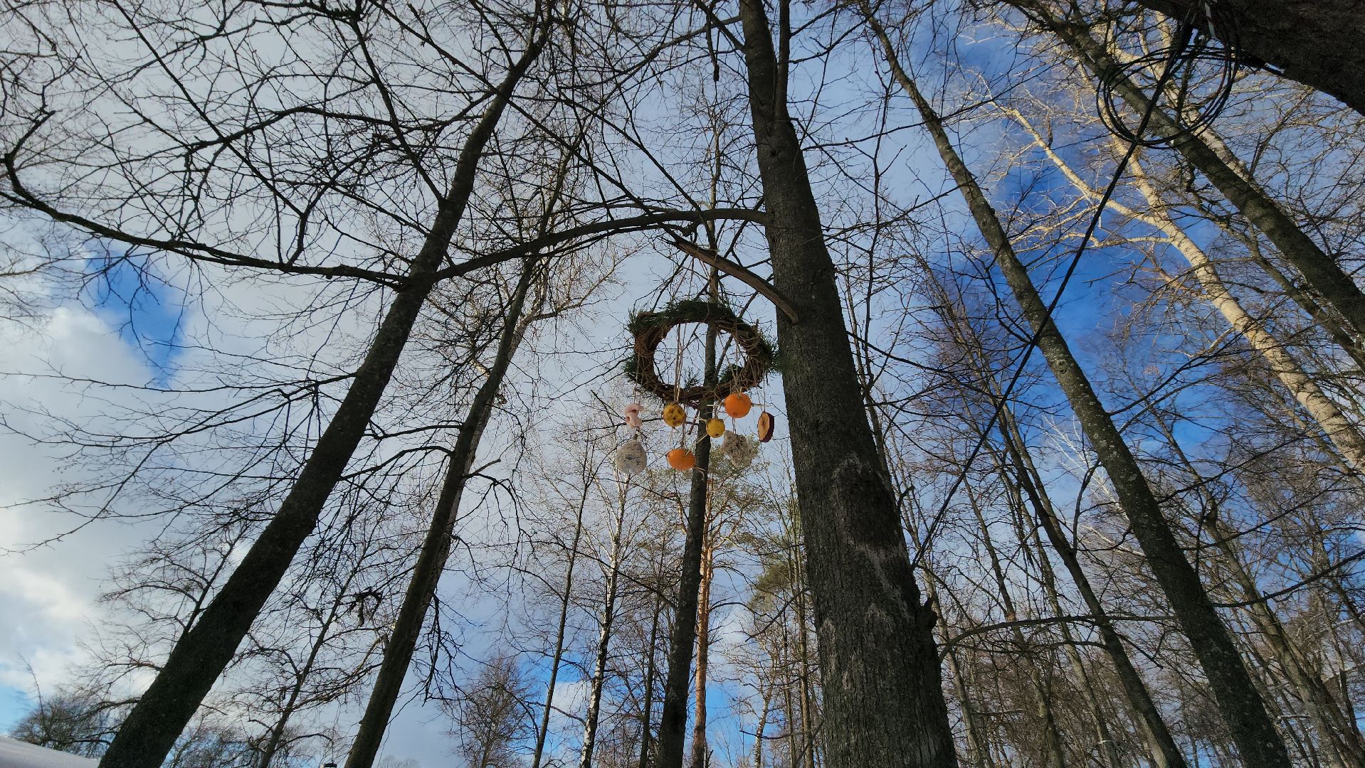 серпухов, парк имени олега степанова, центр серпуховский, кормушка для птиц, пенсионеры,