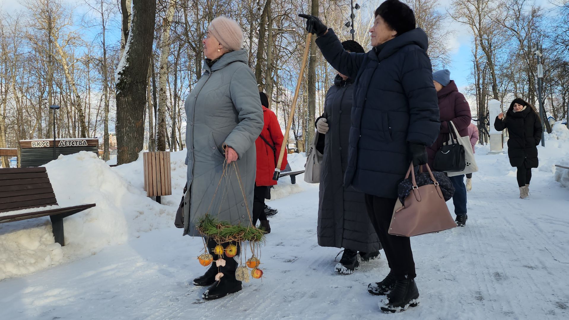 серпухов, парк имени олега степанова, центр серпуховский, кормушка для птиц, пенсионеры,