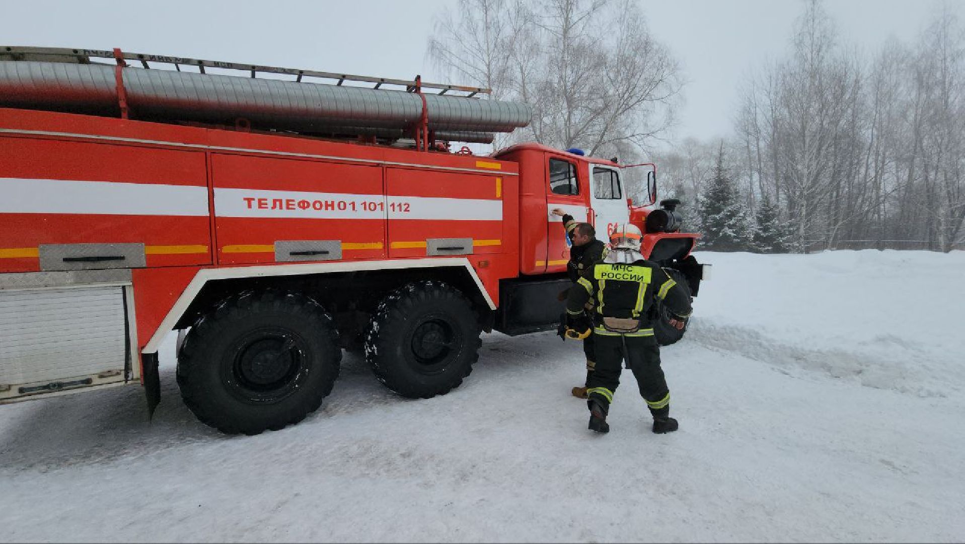 можайск, можайский городской округ, подмосковье, пожарные, спасение котов, спасатели,