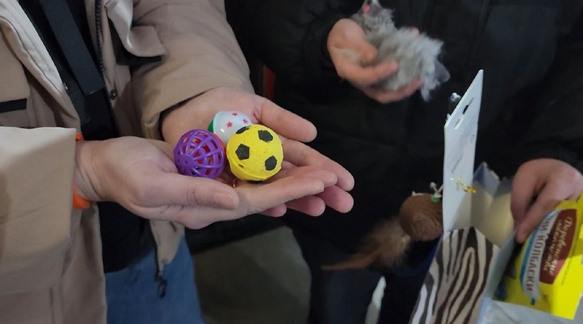 можайск, можайский городской округ, подмосковье, пожарные, спасение котов, спасатели,