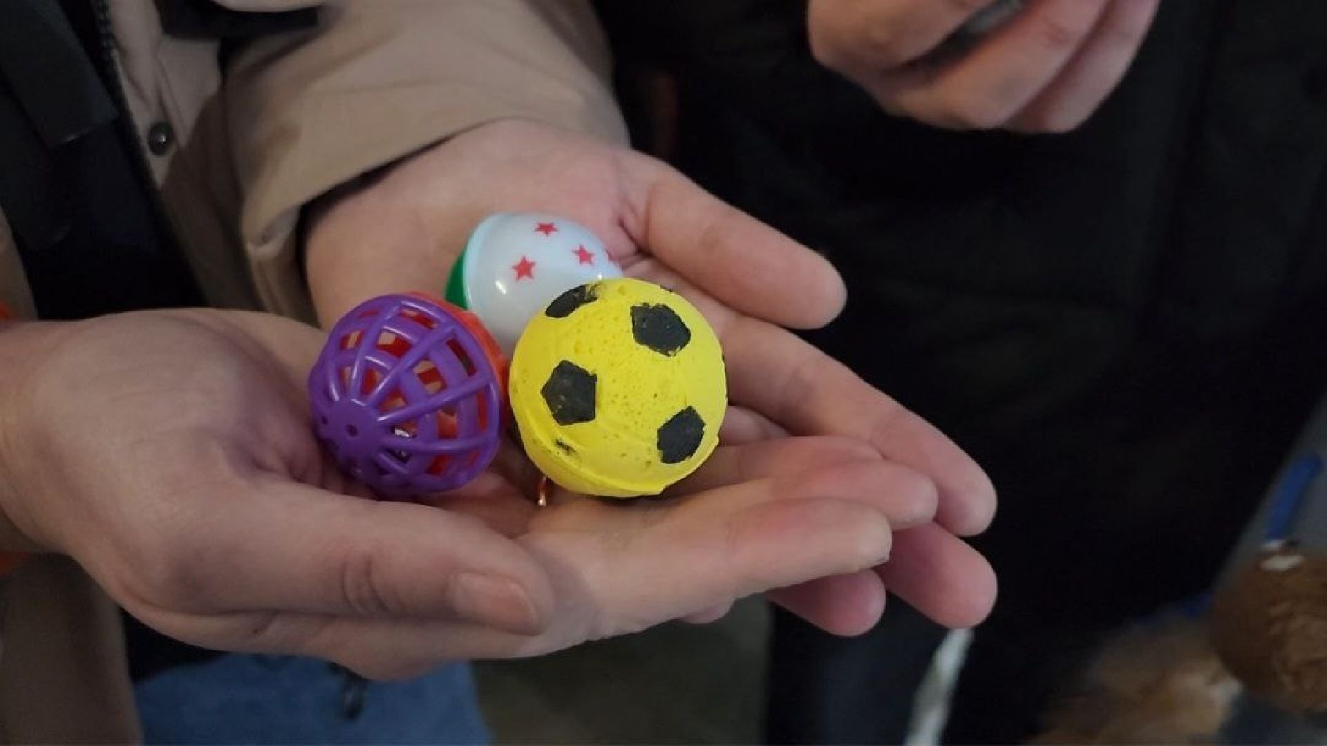 можайск, можайский городской округ, подмосковье, пожарные, спасение котов, спасатели,