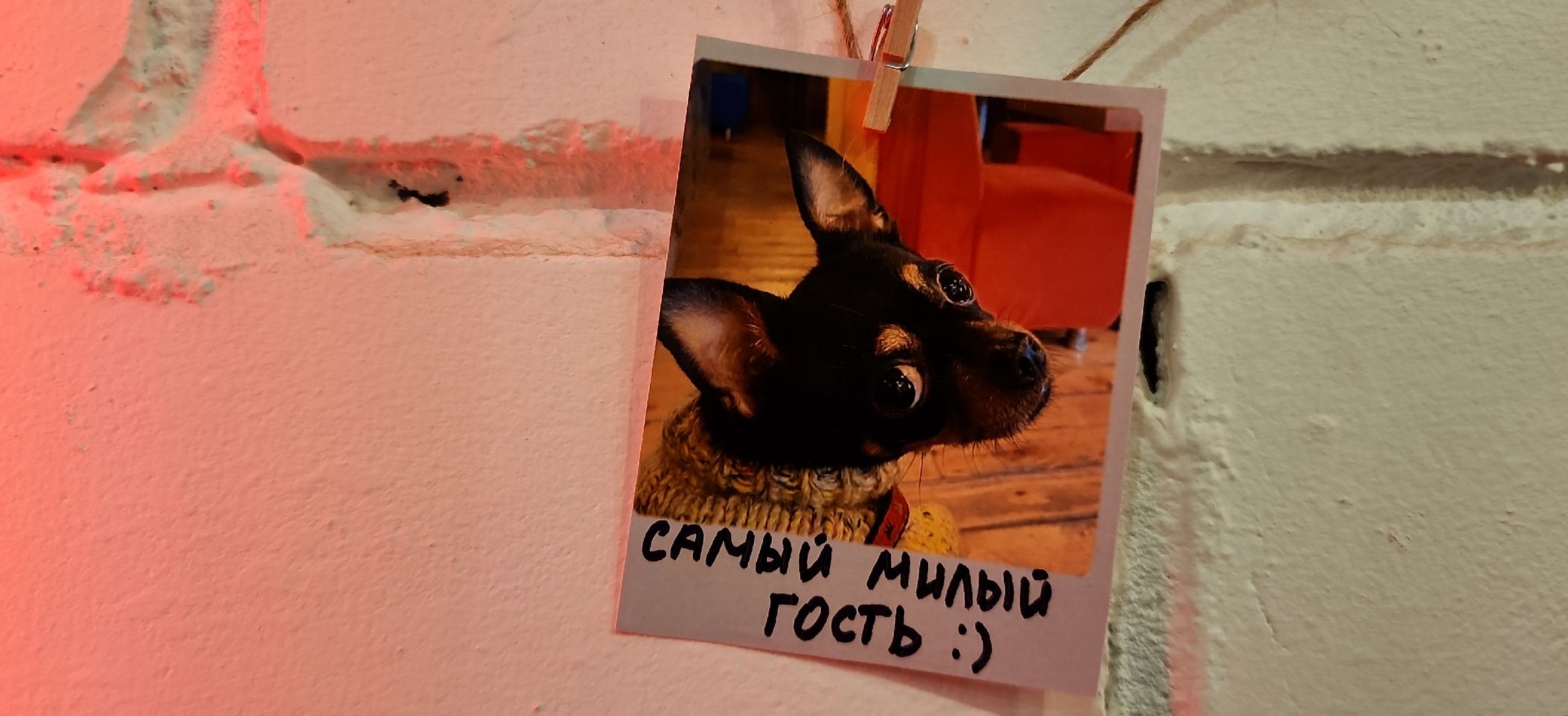 электросталь, мой город, питание, общественное питание, кафе, акция, ешь в подмосковье, зима в подмосковье, зимавподмосковье2024,