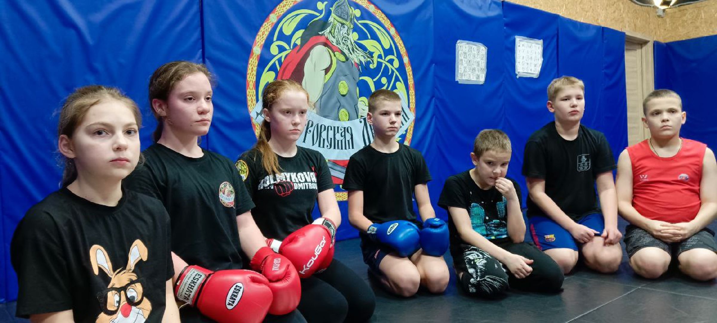 Дмитров, Дмитровская дружина, Минспорта,