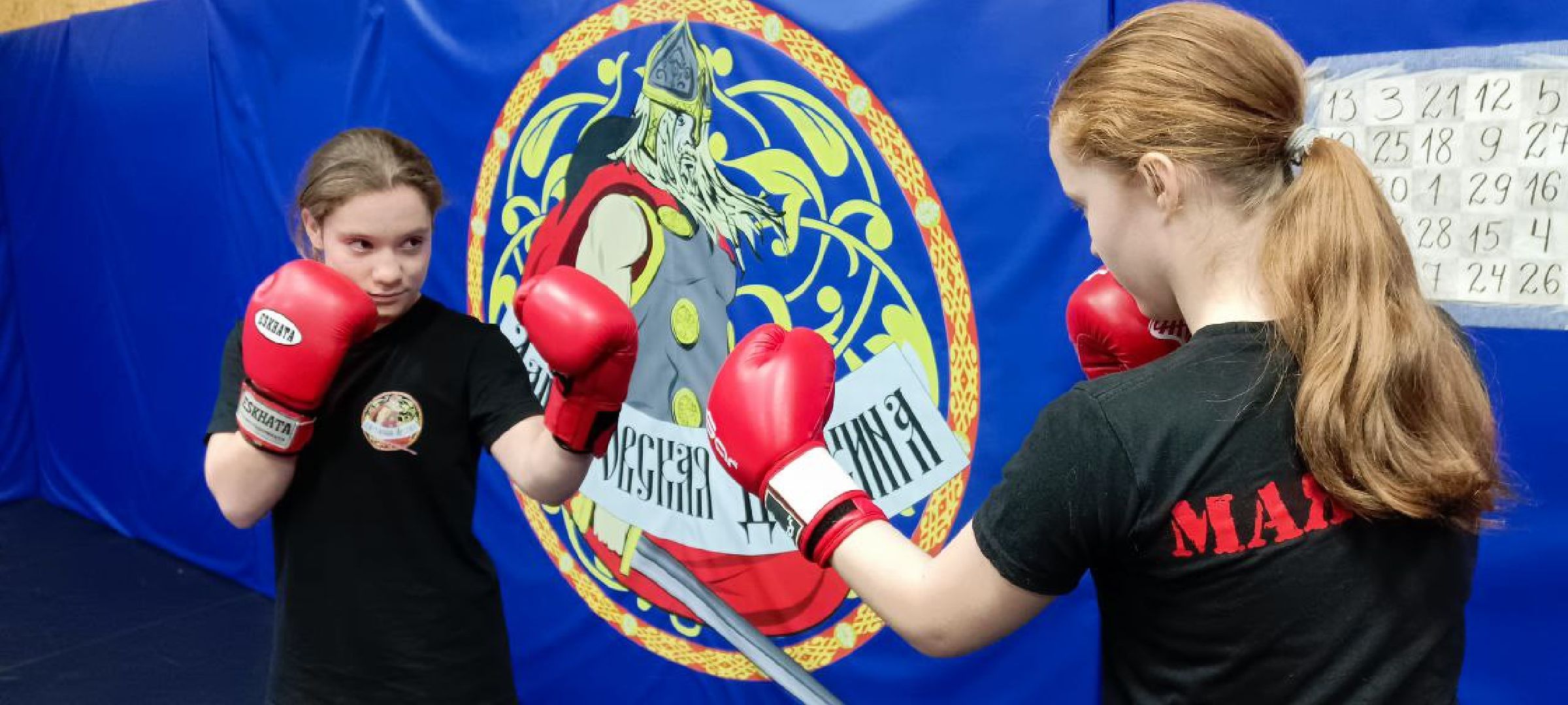 Дмитров, Дмитровская дружина, Минспорта,