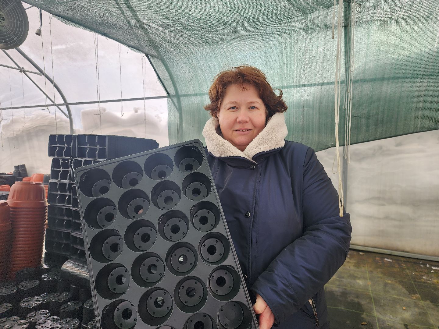 Звенигород, Сельское хозяйство,Фермерство,