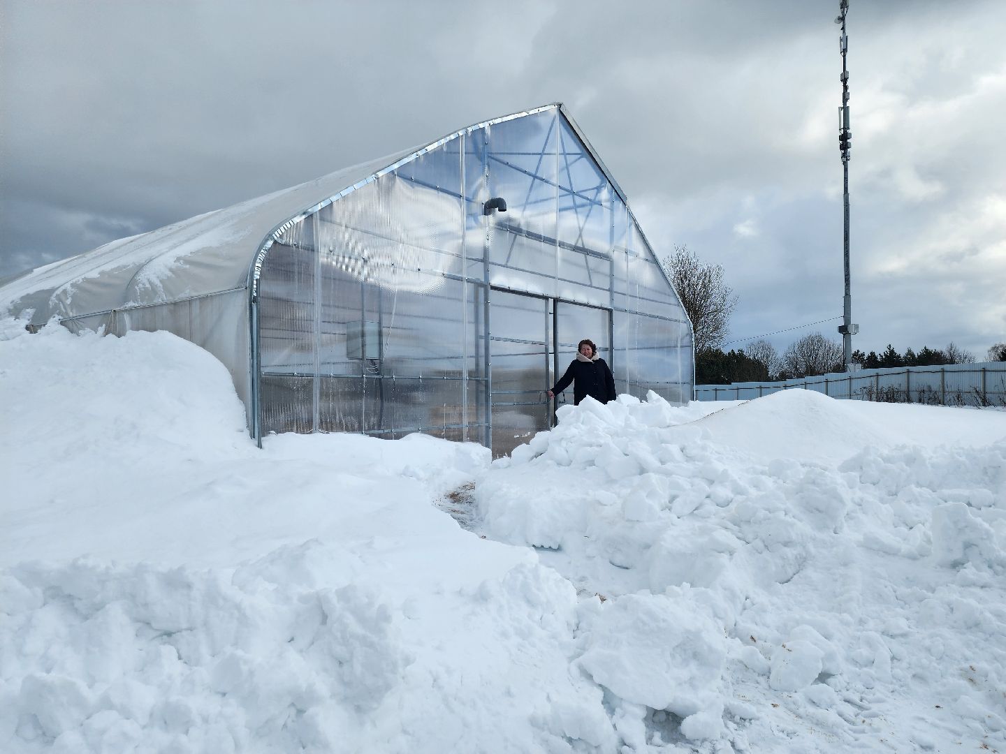 Звенигород, Сельское хозяйство,Фермерство,