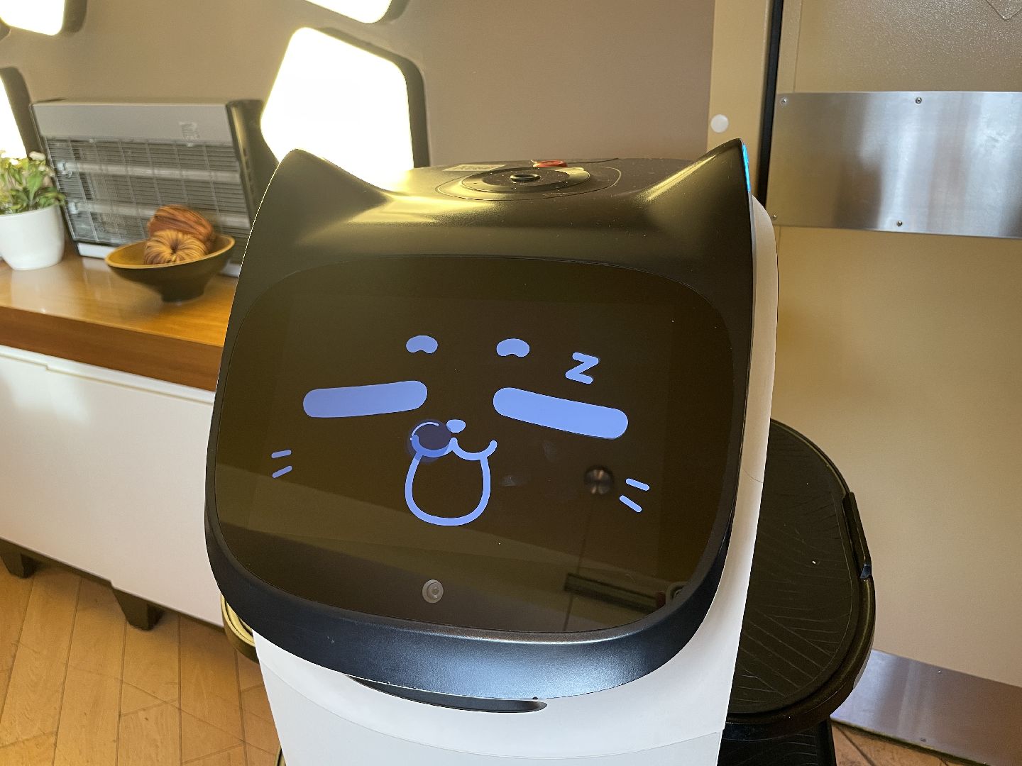 волоколамск, ешь в подмосковье, зотто,