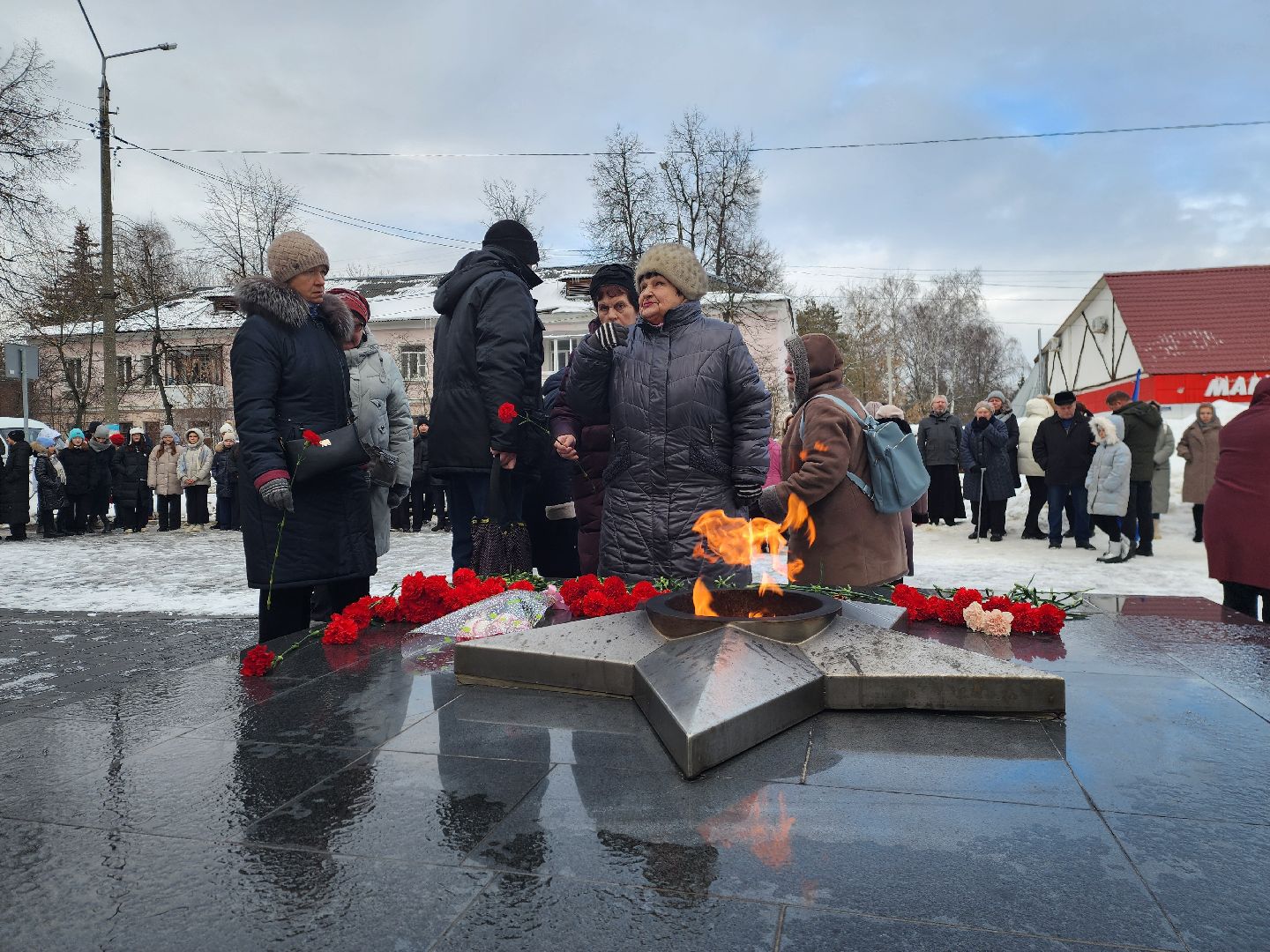 шатура, митинг, вов, сталинградская битва, вечный огонь, митинг памяти,