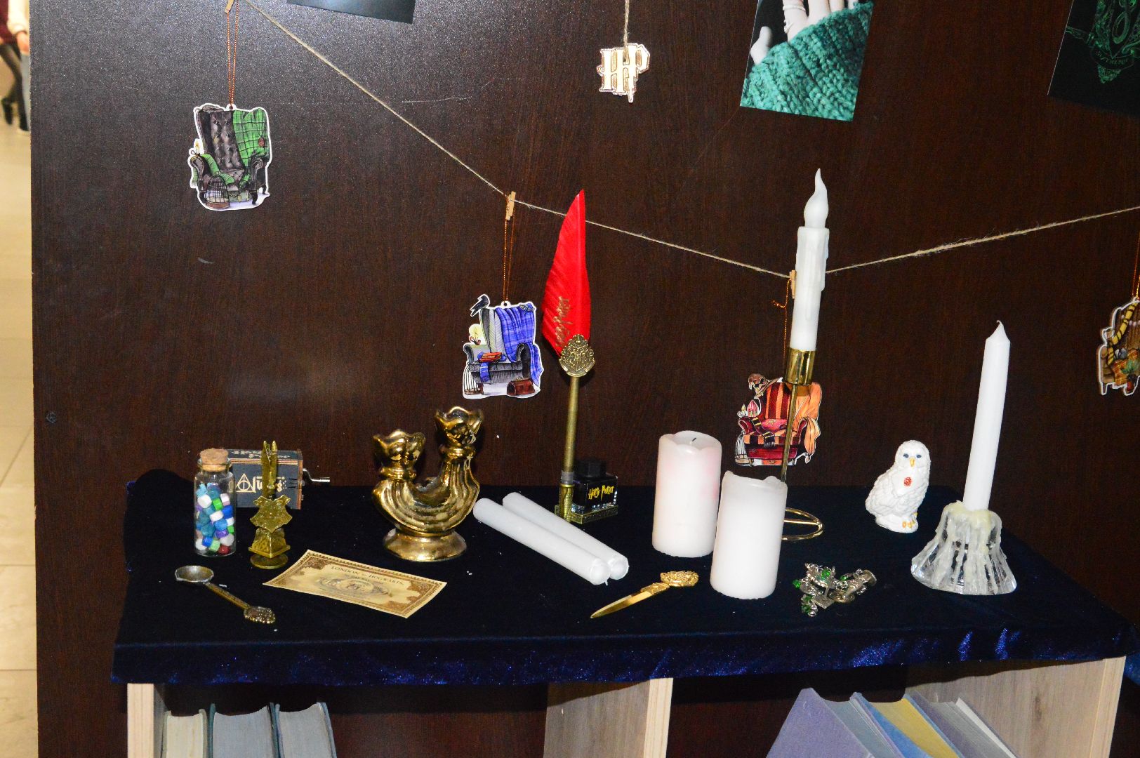 шатура, Международная акции, Книжная ночь Гарри Поттера, Гарри Поттер, книжная ночь, библиотекарь,