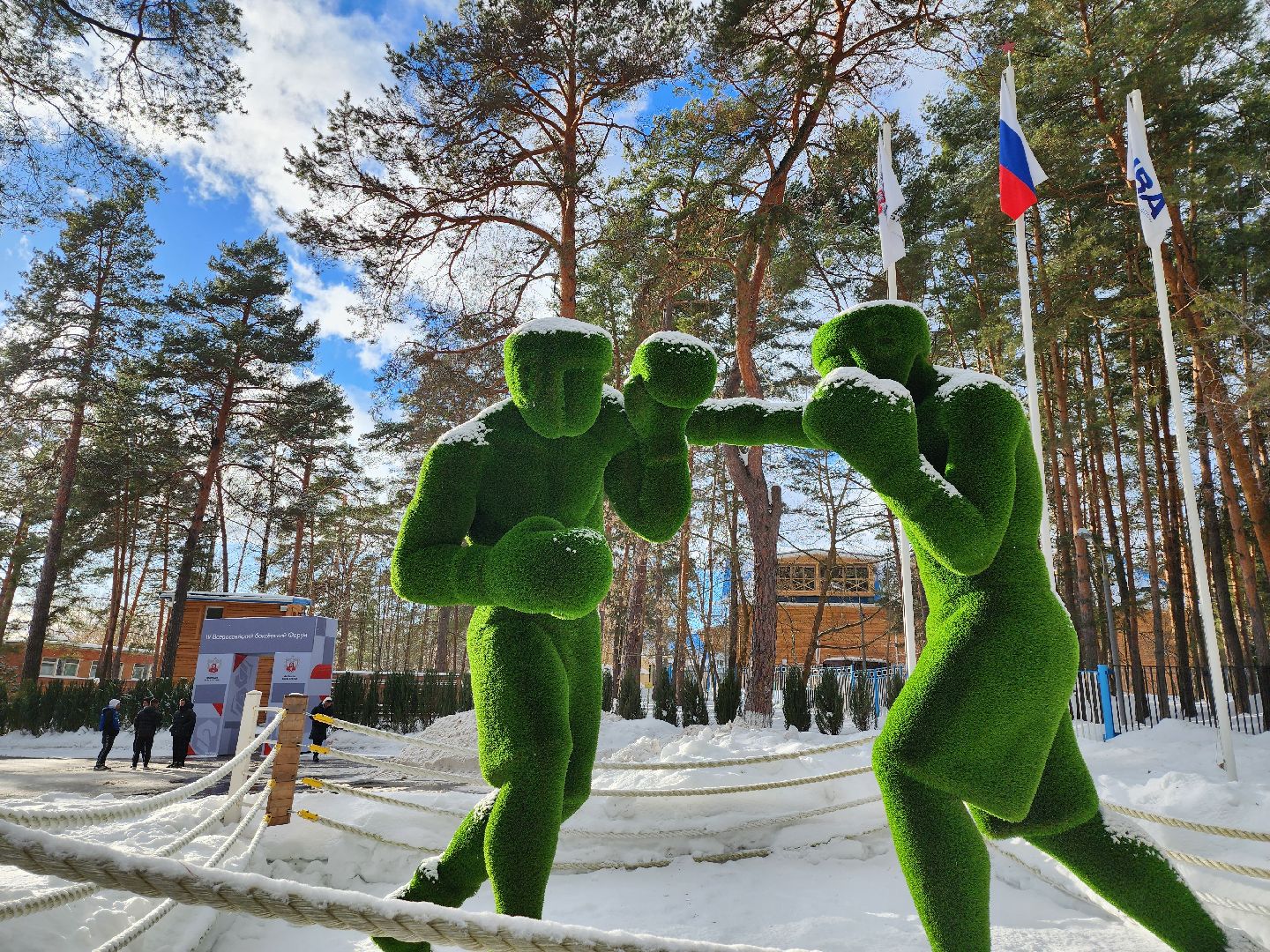 Серпухов, Подмосковье, новые дисциплины бокс, боксерский форум 2024, удар на силу,