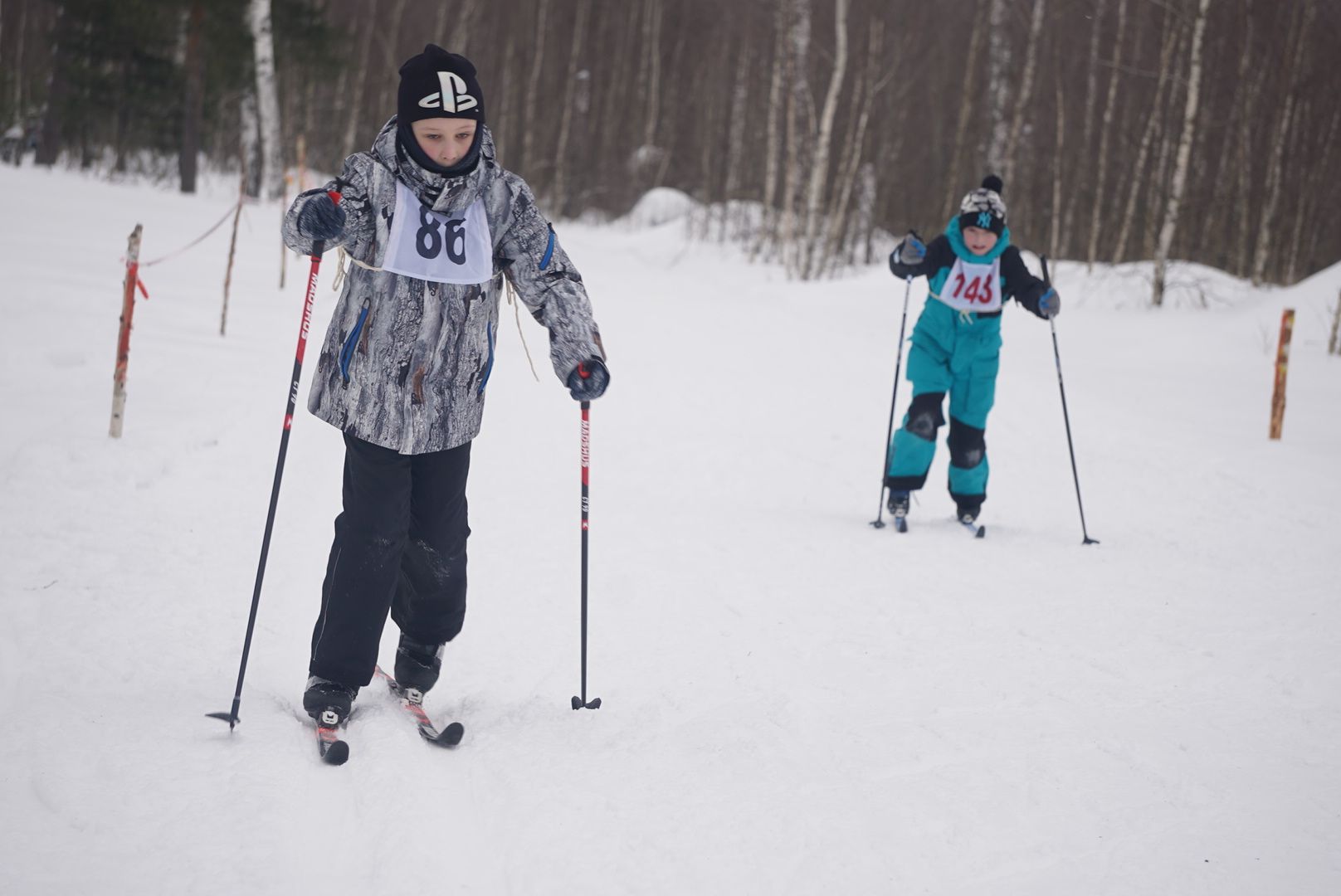 Лыжня, Городской округ Павловский Посад, Электрогорск, Спорт, Жители, Общество,
