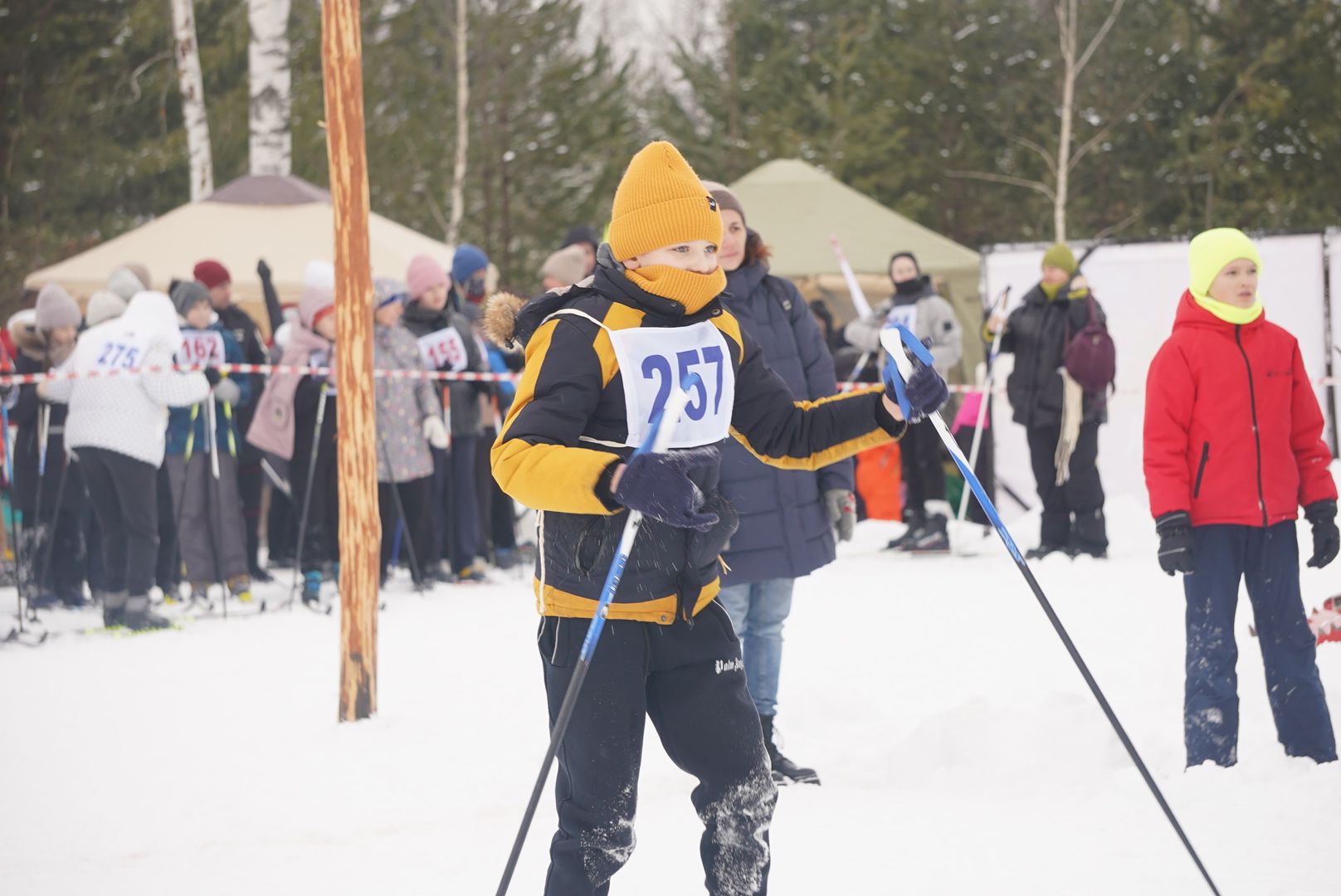 Лыжня, Городской округ Павловский Посад, Электрогорск, Спорт, Жители, Общество,