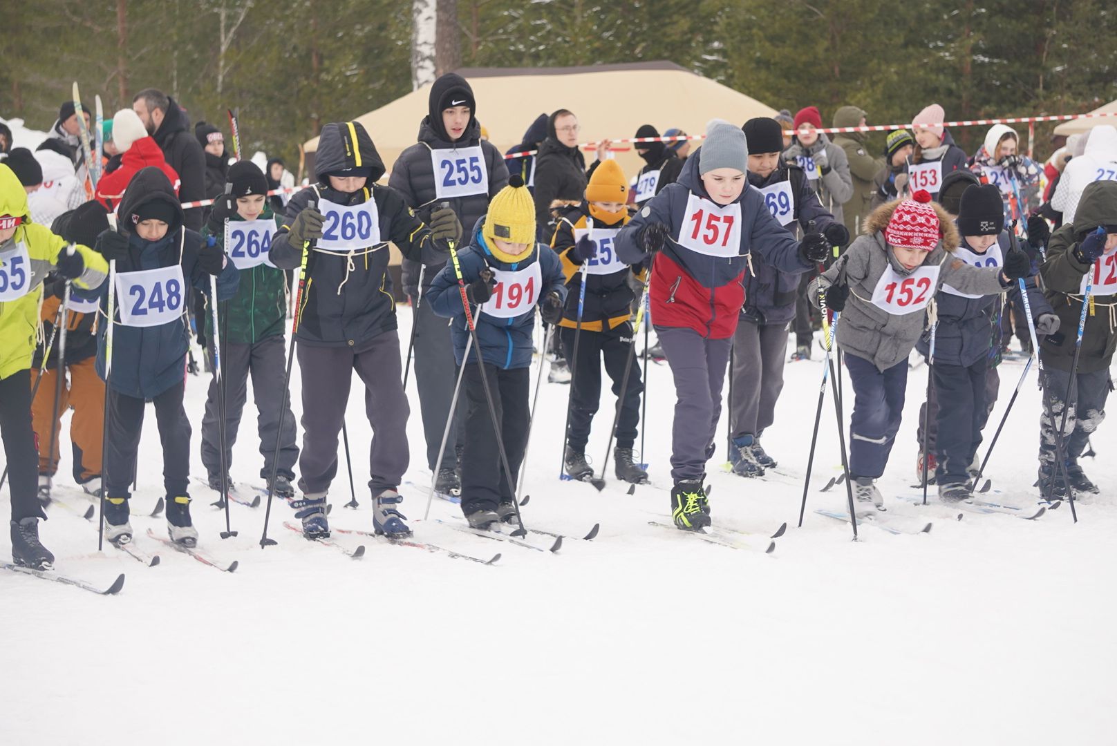 Лыжня, Городской округ Павловский Посад, Электрогорск, Спорт, Жители, Общество,