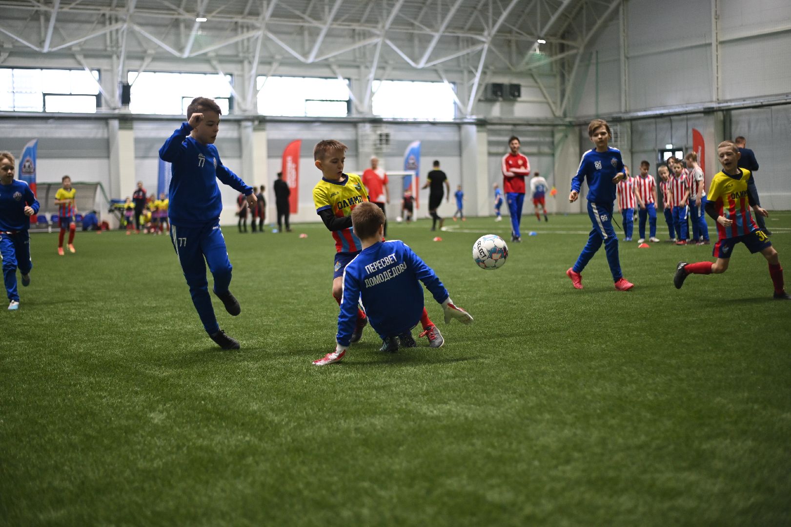 новый ФОК, крытый лед, губернатор Подмосковья, Владислав Фетисов, Домодедово,