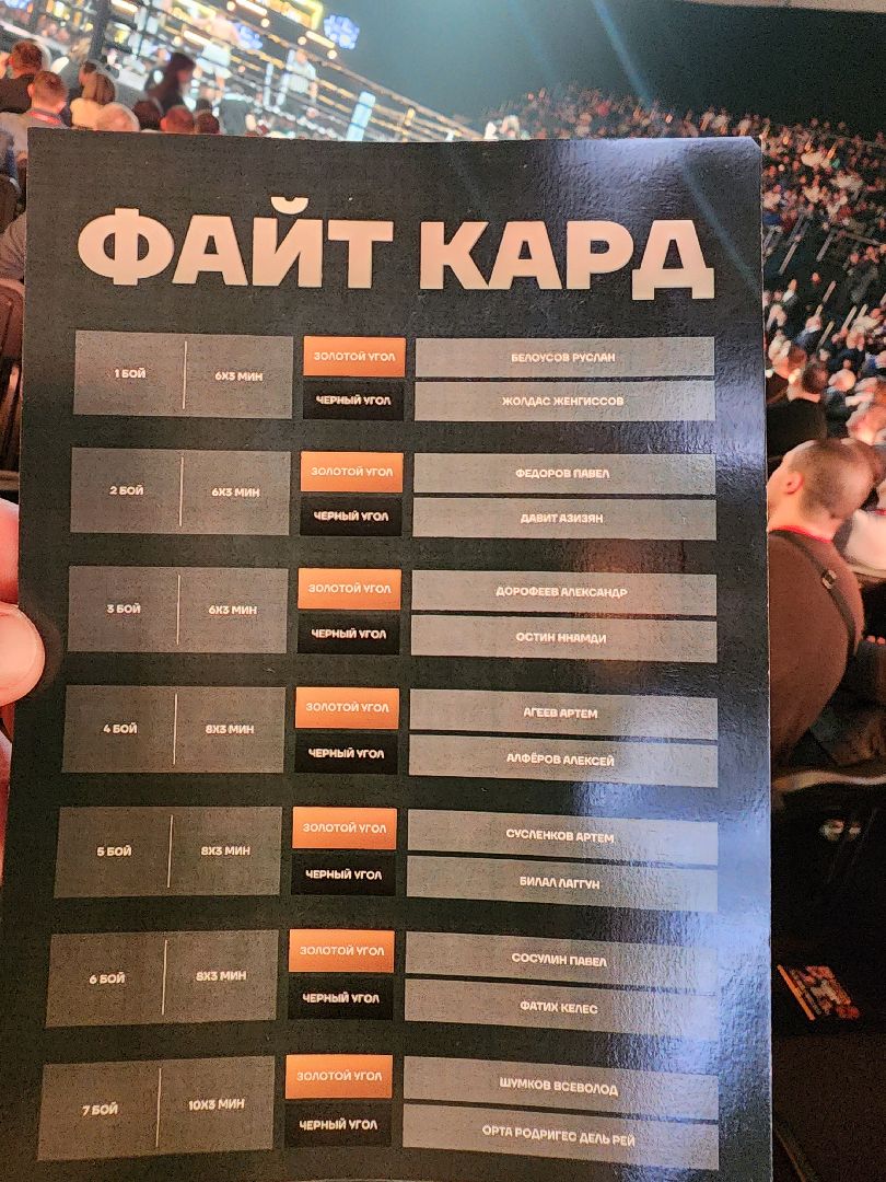 Серпухов, Подмосковье,бокс, федерация бокса россии, Поветкин, цзю, емельяненко,